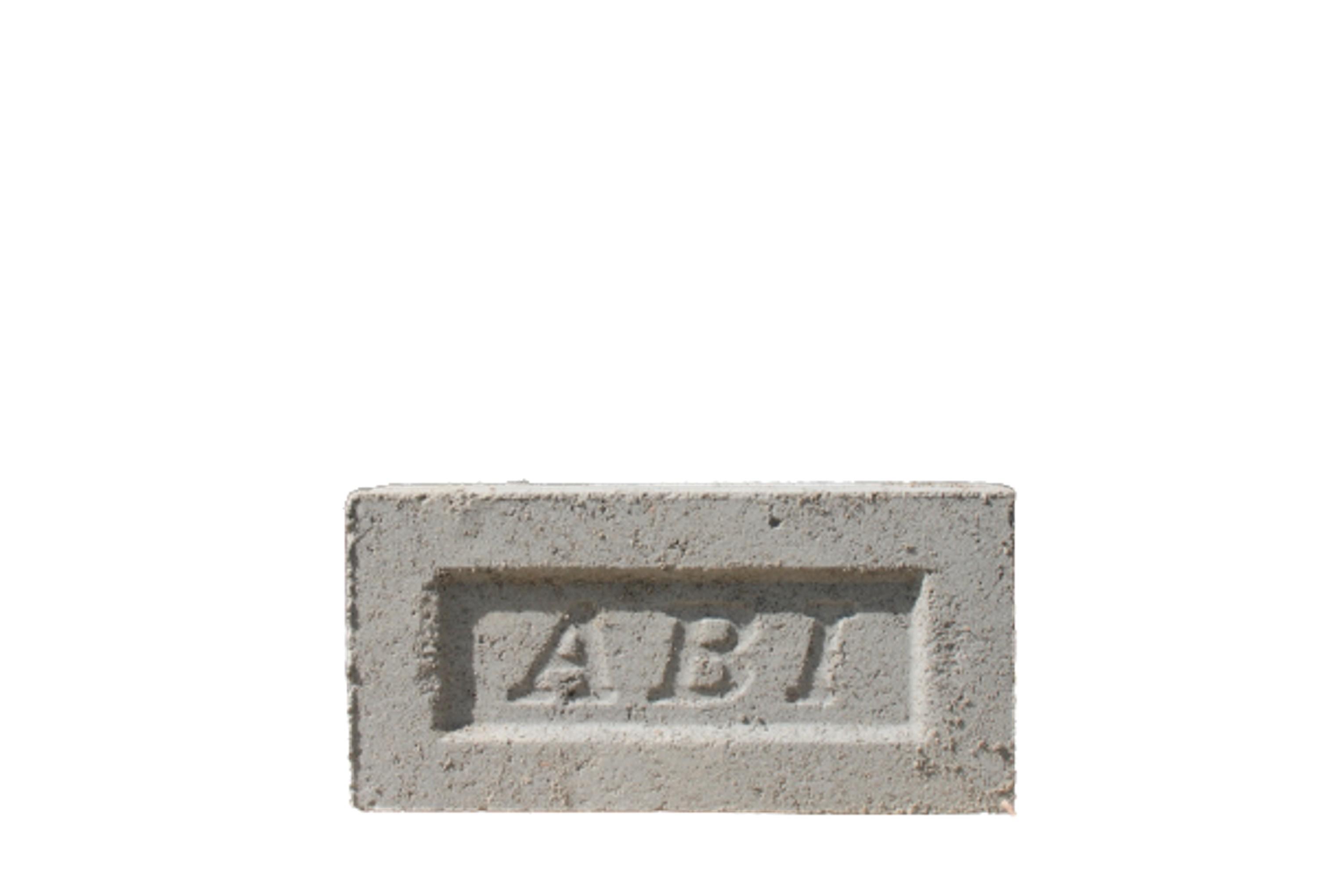 ABI Fly Ash Bricks 230 mm 110 mm 75 mm 10 MPa_2