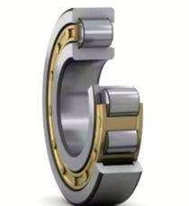 SKF 6013Z Ball Bearings Cast Steel_0