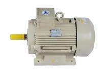 Speedwel 1440 rpm Three Phase 12.5 hp Four Pole Foot Mounted AC Motors_0