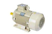 Speedwel 1440 rpm Three Phase 20 hp Four Pole Foot Mounted AC Motors_0