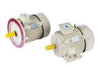 Speedwel 1440 rpm Three Phase 7.5 hp Four Pole Flange Mounted AC Motors_0