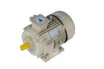 Speedwel 970 rpm Three Phase 0.5 hp Six Pole Foot Mounted AC Motors_0