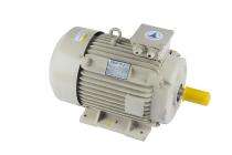 Speedwel 1440 rpm Three Phase 10 hp Double Pole Foot Mounted AC Motors_0