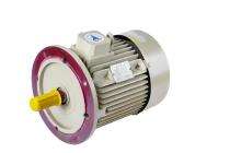 Speedwel 1440 rpm Three Phase 12.5 hp Four Pole Flange Mounted AC Motors_0