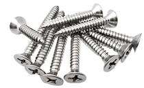 Joy Flat Head M3 10 mm Self Tapping Screws Stainless Steel Polished_0