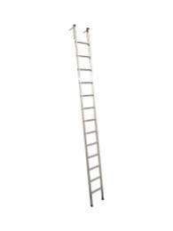 Plantex  20 ft 250 kg Ladders Aluminum 27 kg_0