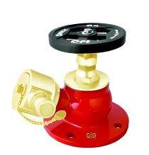 ABC FIRE Stainless Steel Single Headed Hydrant Valves_0