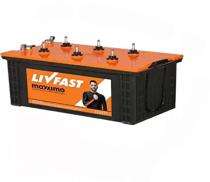 LIVFAST MXSTJ 1942 Tubular 12 V 160 Ah Lead Acid Batteries_0