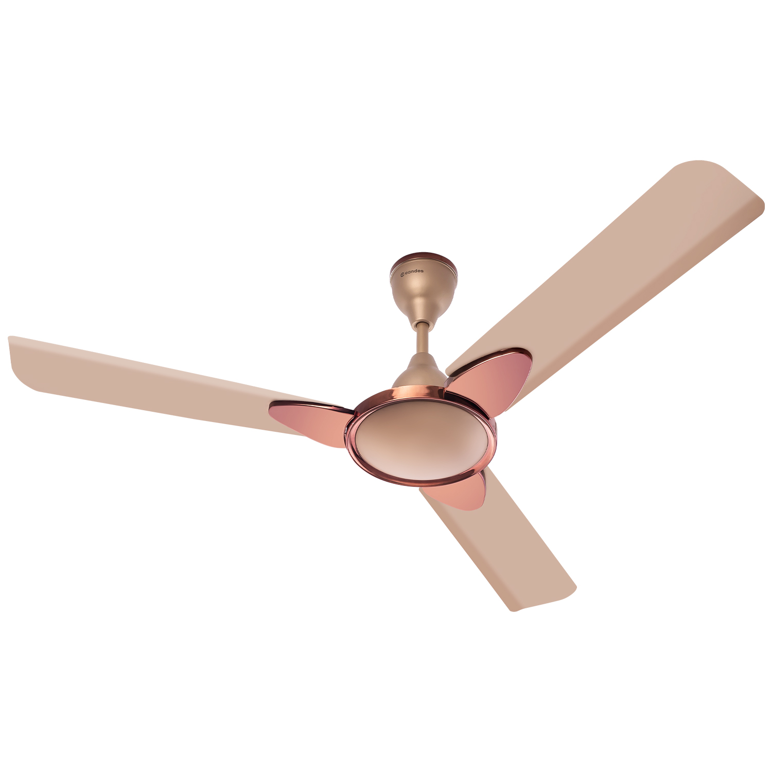 Designer Ceiling Fans India Online Shelly Lighting