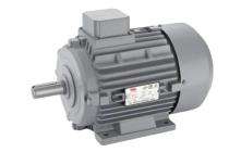 1500 rpm Three Phase 0.5 hp Four Pole Foot Mounted AC Motors_0