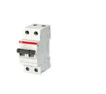 ABB Double Pole 40 A C MCB_0