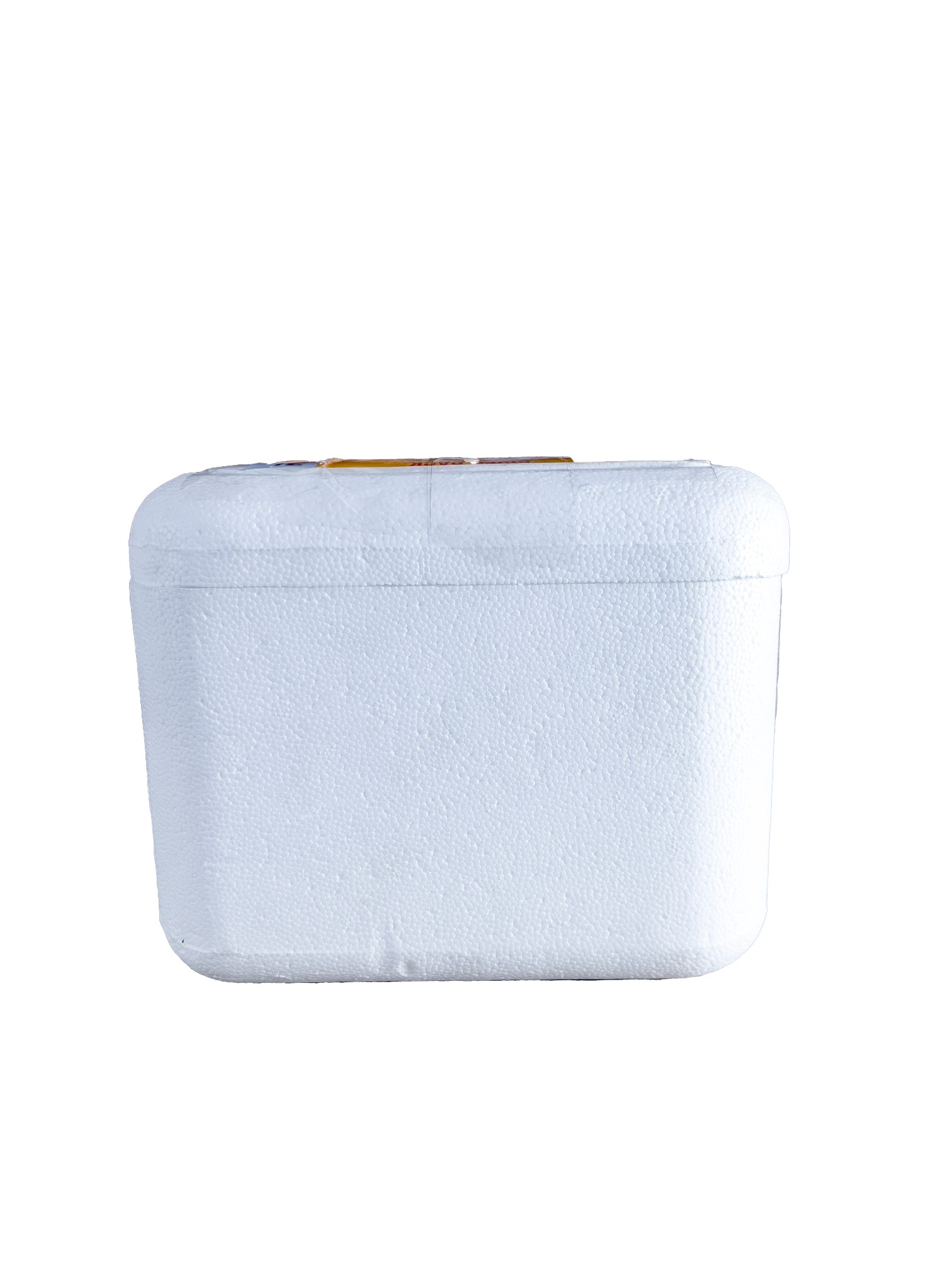 River Normal EPS Thermocol Ice Box 240 x 210 x 190 mm OD 3 L_3