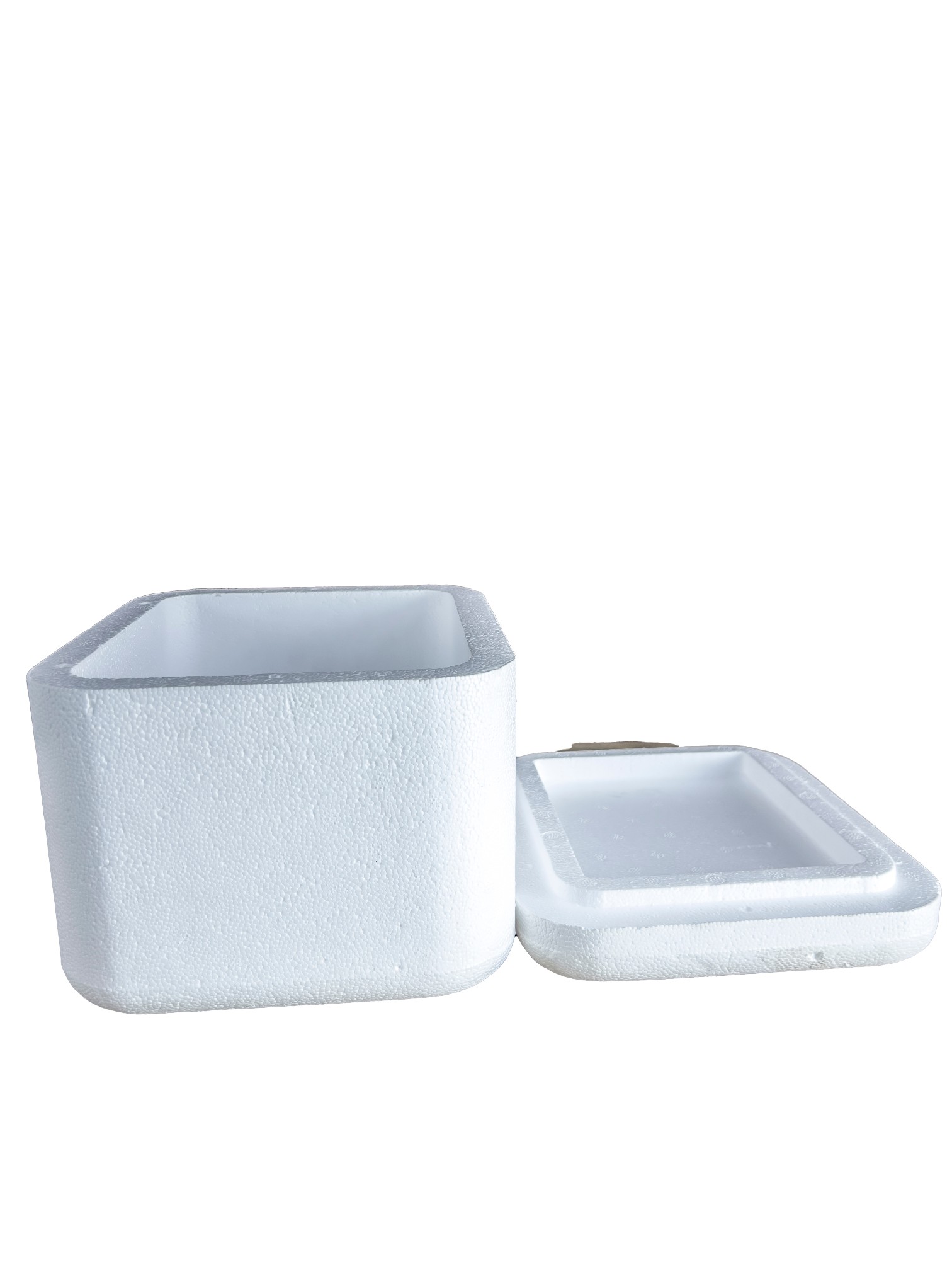 River Normal EPS Thermocol Ice Box 240 x 210 x 190 mm OD 3 L_4