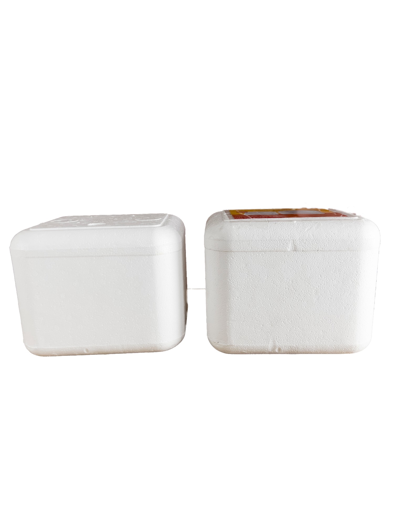 River Normal EPS Thermocol Ice Box 260 x 230 x 200 mm OD 3 L_1