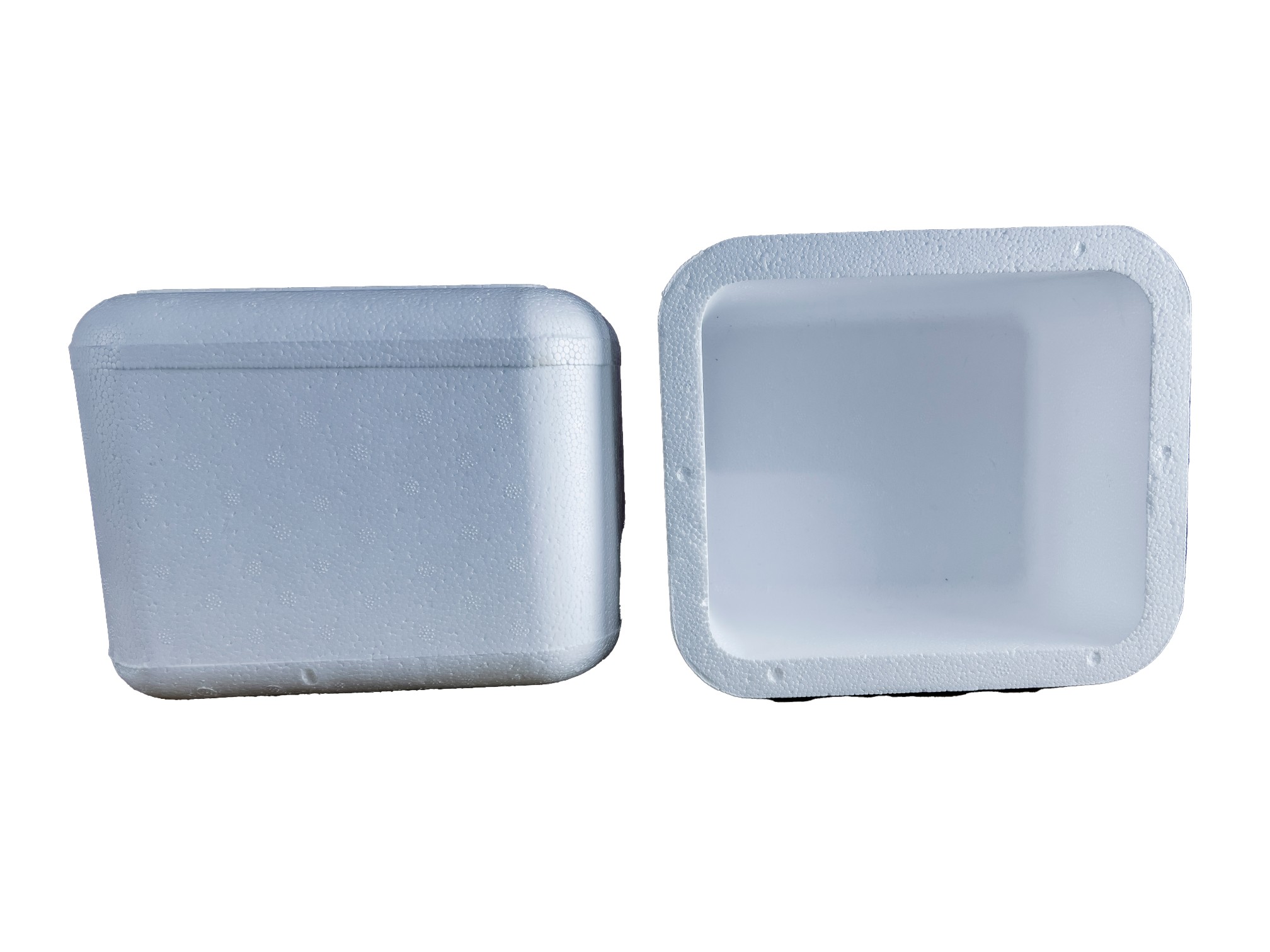 River Normal EPS Thermocol Ice Box 260 x 230 x 200 mm OD 3 L_2