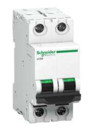 Schneider Electric Double Pole 10 A B Curve MCB_0