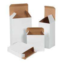 Paperboard Plain Mono Carton 50 - 250 gm White_0