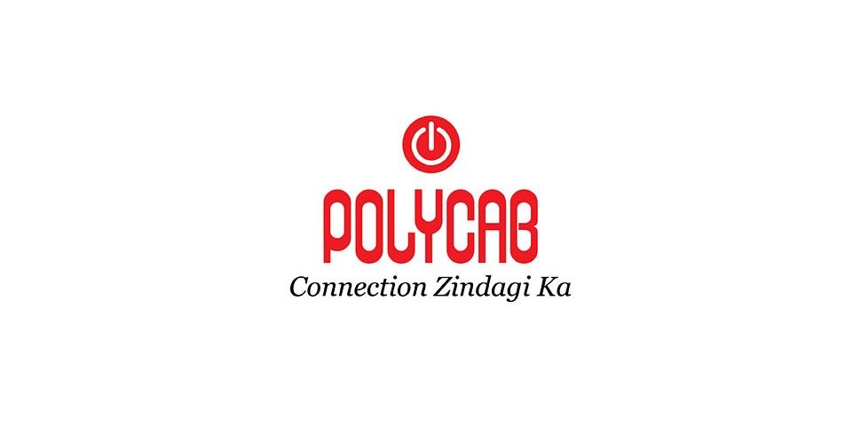 Polycab 6 sqmm Stranded Electric Wire Black 90 m_3