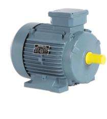 HAVELLS 0.37 kW Worm Gear Motor 100 Nm_0