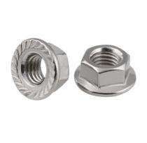 Stainless Steel Flange Nuts M 6_0