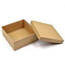 10 x 10 x 2 inch 7 - 10 kg Brown Corrugated Boxes_0