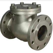 SJIF DN 150 mm Manual Cast Iron Check Valves Flanged_0
