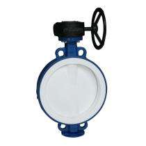 SJIF NB 40 Wafer Ductile Iron PFA Lined Butterfly Valve PN 10_0