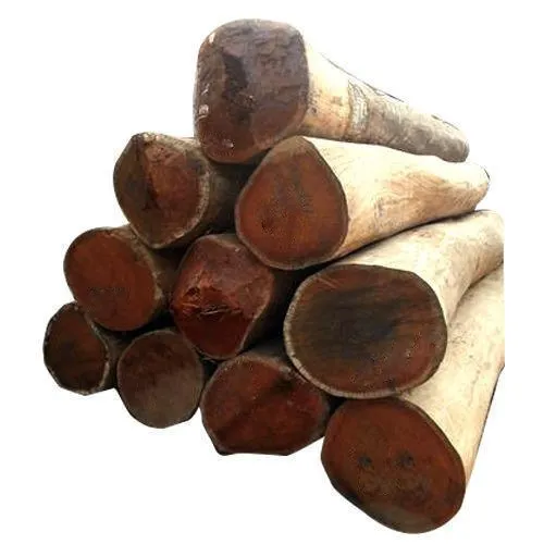 AKM Sal Dry Fire Wood 0.13 Logs 2 inch Dia_0