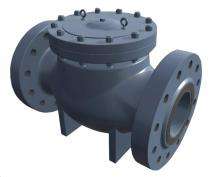 SVC DN 125 mm Manual Cast Steel Check Valves Double Socket_0
