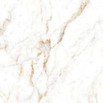 Classic Polished Finish Marble Tiles_0