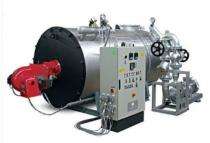 Steamtherm 12 kW Thermic Fluid Industrial Heaters IH1 Upto 350 deg C_0