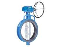 AIRA NB 40 Wafer Ductile Iron PFA Lined Butterfly Valve PN 10_0