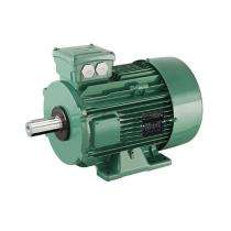 Hindustan 0.25H2B3IE2 Three Phase 0.25 hp Double Pole Foot Mounted AC Motors_0