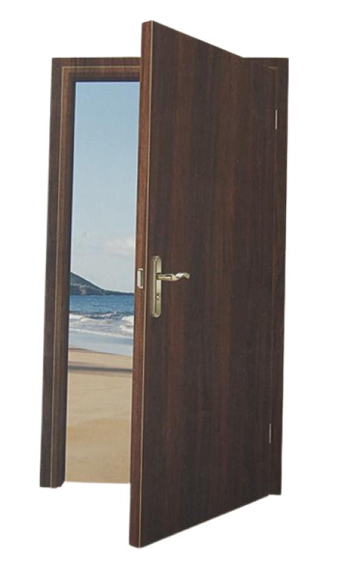 CENTURYPLY Doors Flush Wooden_0