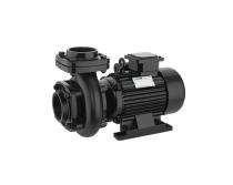 Silver SDM-44 0.75 hp 2800 rpm Monoblock Pumps_0