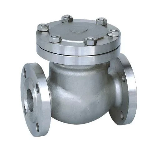 Saify 25 mm Manual Cast Iron Check Valves Flanged_0