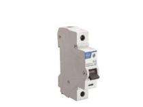 L&T BA10200B Single Pole 20 A B Curve MCB_0