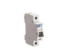 L&T BA10250B Single Pole 25 A B Curve MCB_0