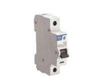 L&T BA10400C Single Pole 40 A C Curve MCB_0