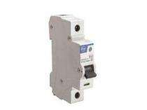 L&T BA10250C Single Pole 25 A C Curve MCB_0