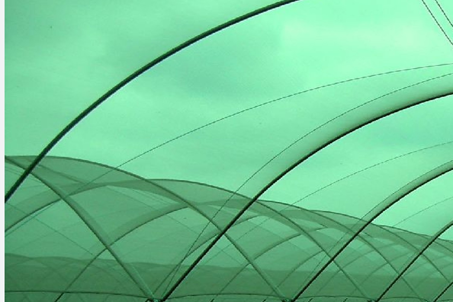 HDPE 75 micron Agricultural Shade Net Green_1