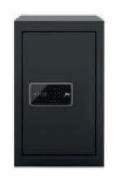 Godrej Mild Steel Digital Safety Lockers 40 L_0