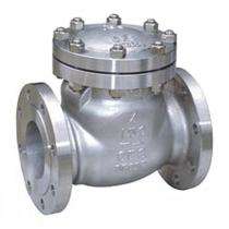 Propel DN 125 mm Manual Cast Steel Check Valves Flanged_0