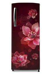 Whirlpool KRD-F200EBPHGS 245 L Single Door Refrigerator 3 Star_0