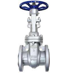 RTC DN 65 mm Actuator Cast Iron Gate Valves Socket Welded Ends_0