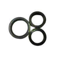 Hallite 19 mm Rubber Oil Seals OS1 6 mm_0