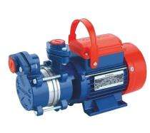 Crompton 1 hp AQUAGOLD 100-33 Centrifugal End Suction Pumps_0