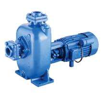 Motor Sewage Pumps 34 m_0