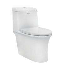 Parryware EWC with Seat Cover and Flush Reeve Floor_0