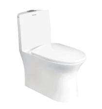 Parryware EWC with Seat Cover and Flush Jordon Floor_0